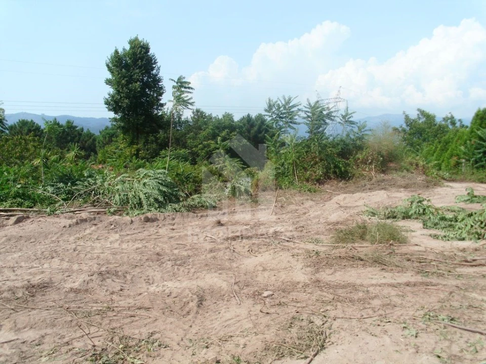 Terreno para Venda em Águas Santas e Moure Foto 1