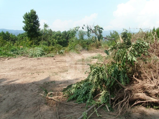 Terreno para Venda em Águas Santas e Moure Foto 5