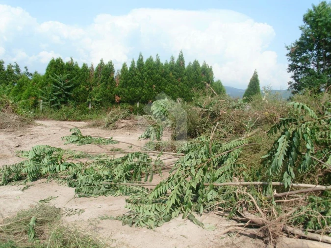 Terreno para Venda em Águas Santas e Moure Foto 7