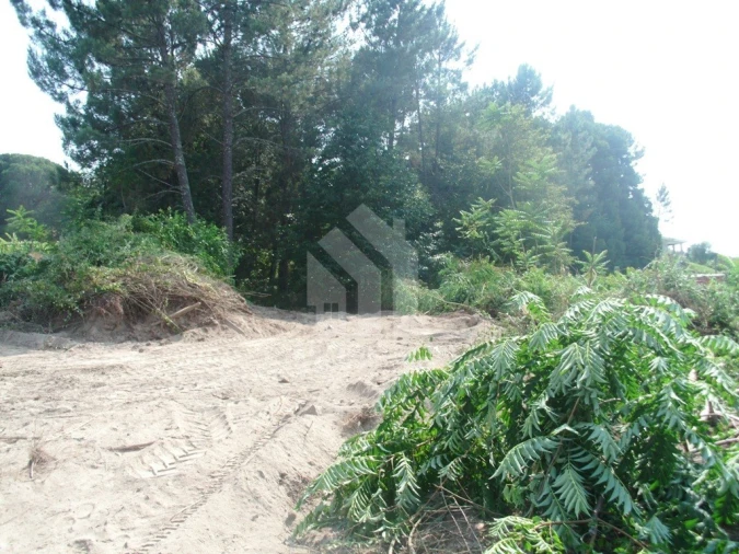 Terreno para Venda em Águas Santas e Moure Foto 8