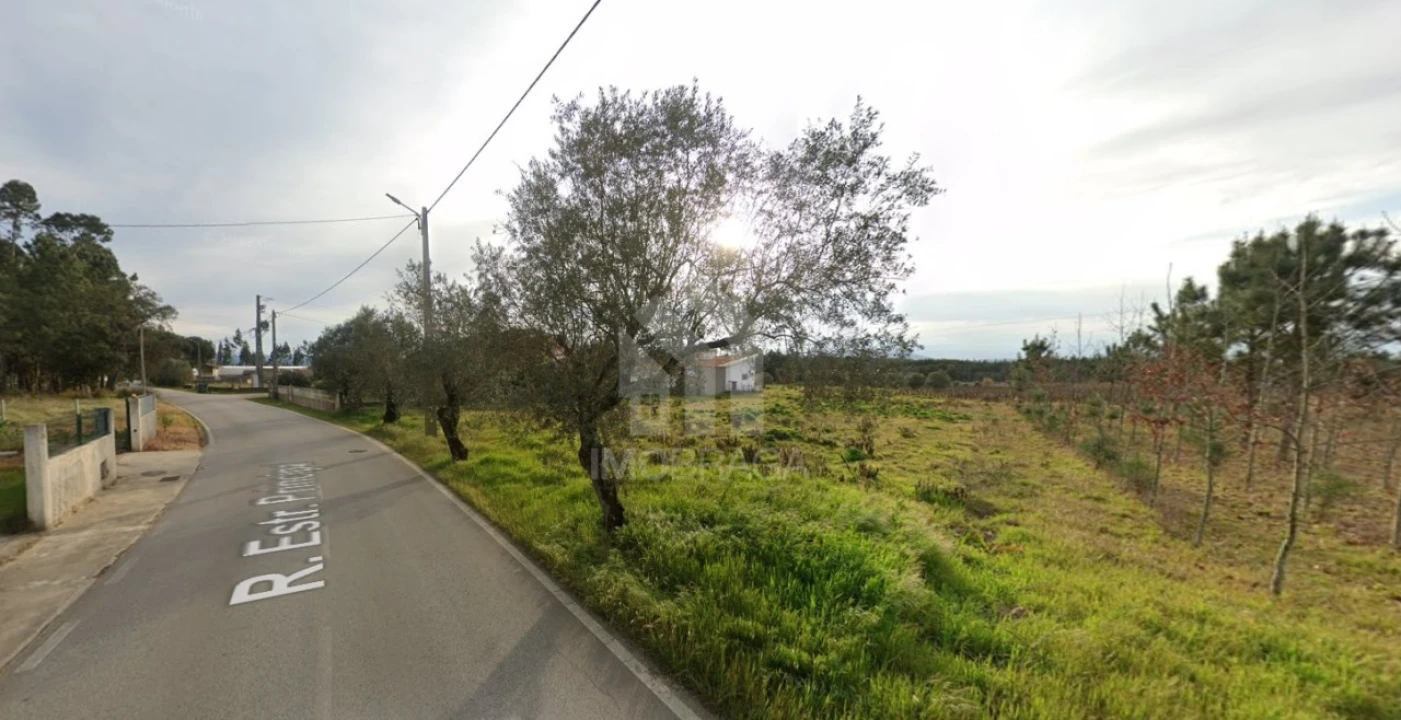 Terreno para Venda em São Lourenço do Bairro Foto 4