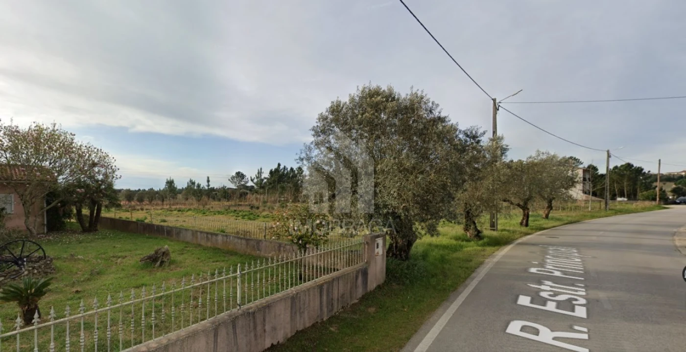 Terreno para Venda em São Lourenço do Bairro Foto 5