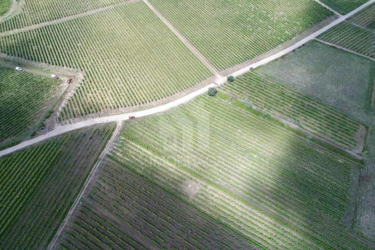Terreno para Venda em São Lourenço do Bairro Foto 11