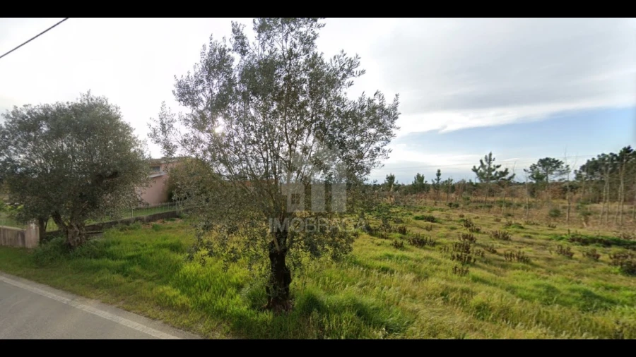 Terreno para Venda em São Lourenço do Bairro