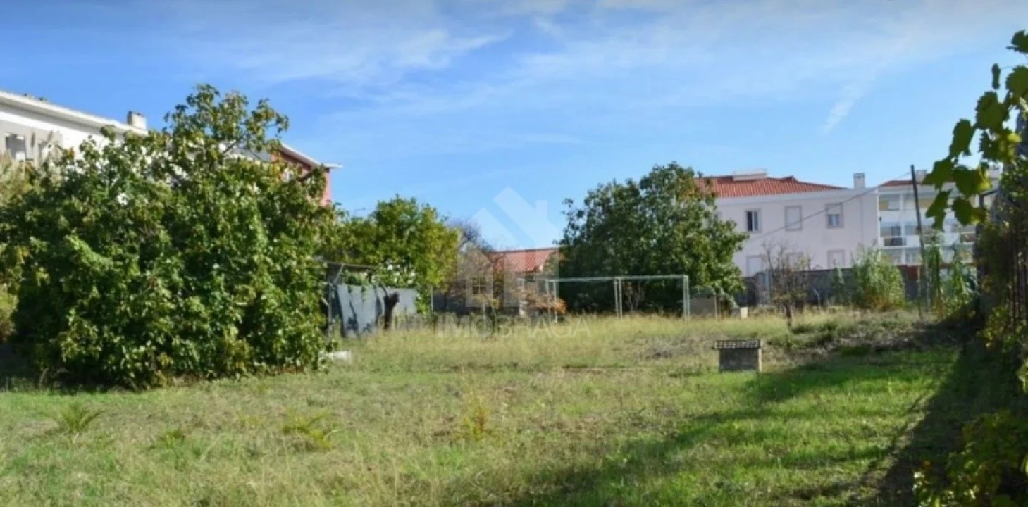 Terreno para Venda em Ajuda Foto 3