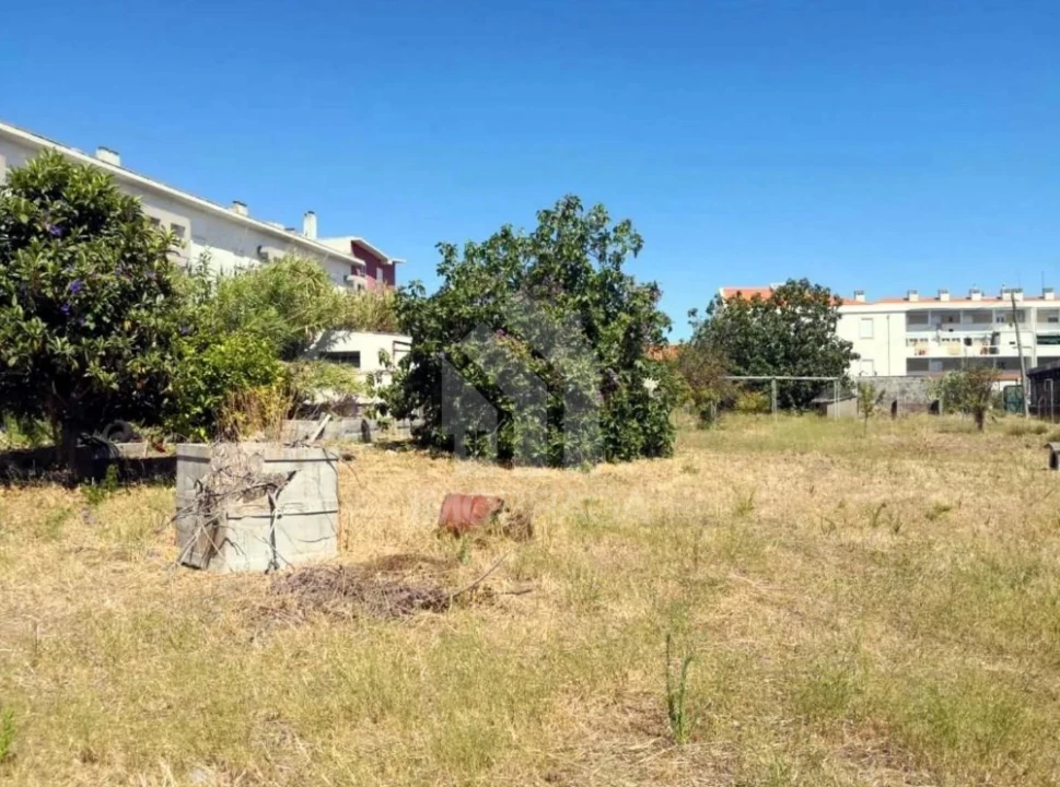 Terreno para Venda em Ajuda Foto 4