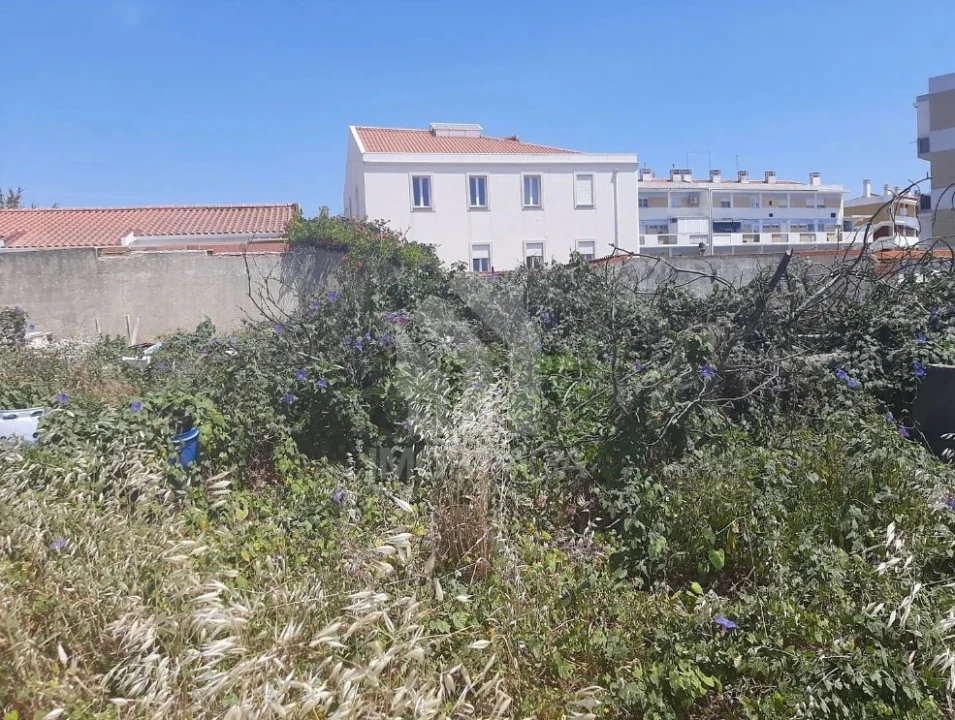 Terreno para Venda em Ajuda Foto 5
