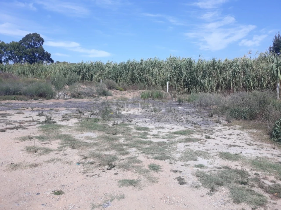 Terreno para Venda em Canidelo Foto 2