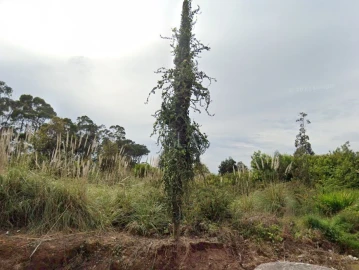 Terreno para Venda em Canidelo