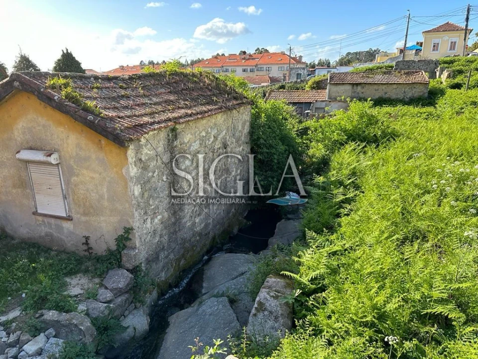 Terreno para Venda em Madalena Foto 2
