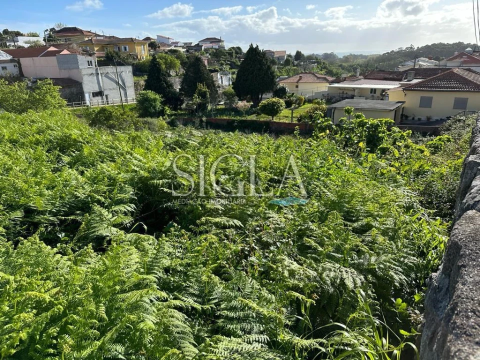 Terreno para Venda em Madalena Foto 3