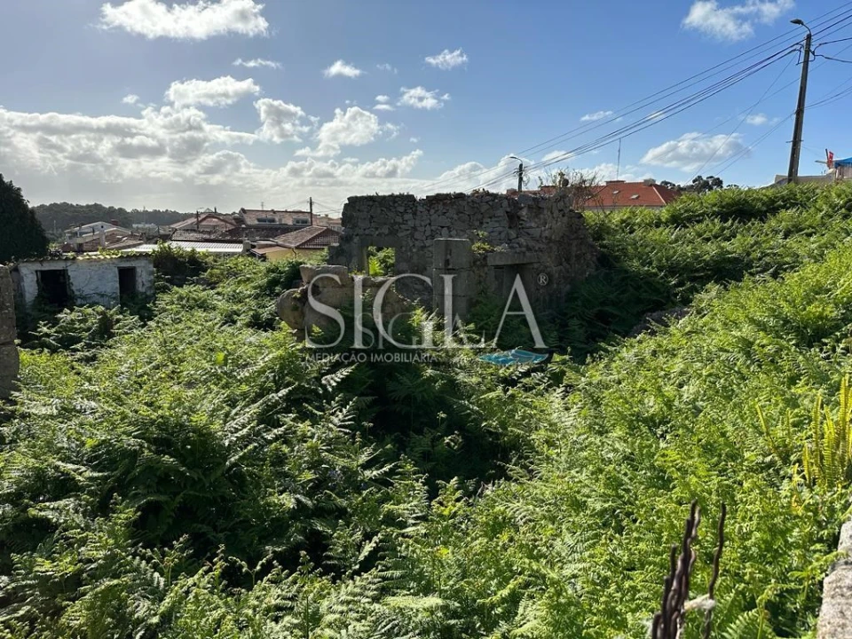 Terreno para Venda em Madalena Foto 5
