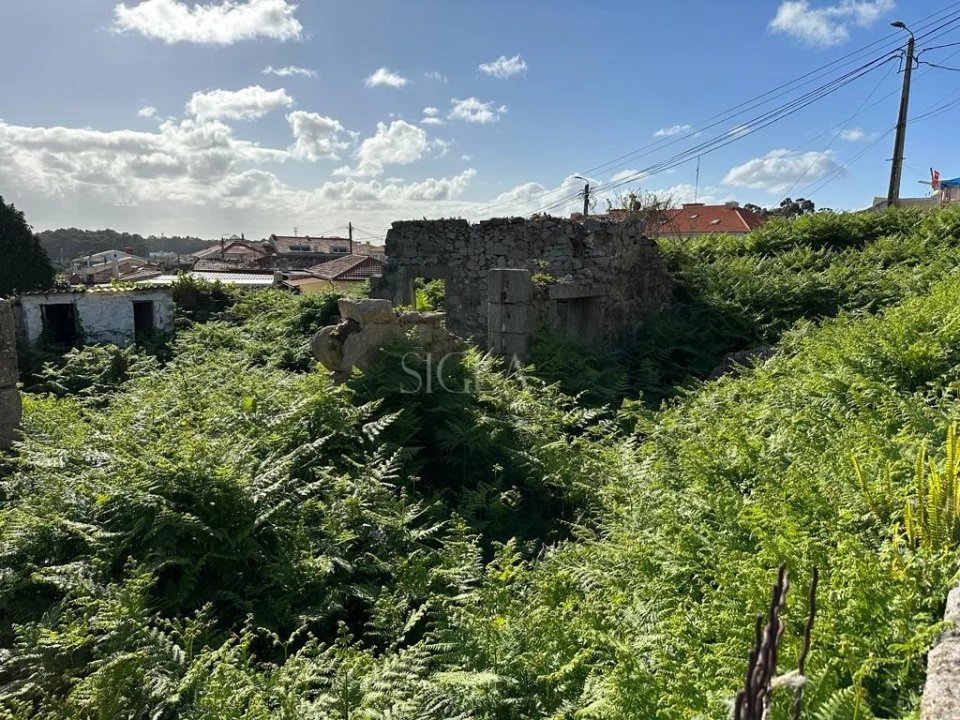 Terreno para Venda em Madalena Foto 5