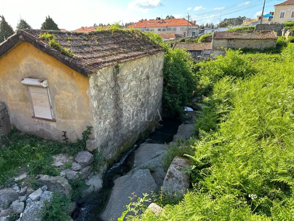 Terreno para Venda em Madalena Foto 6