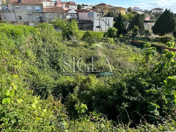 Terreno para Venda em Madalena
