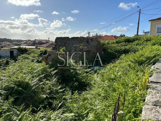 Terreno para Venda em Madalena Foto 6
