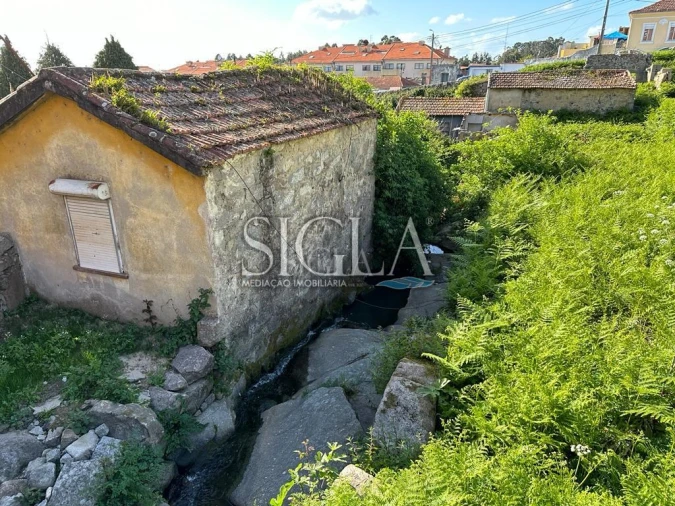 Terreno para Venda em Madalena Foto 7
