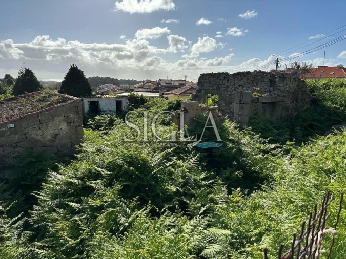 Terreno para Venda em Madalena Foto 8