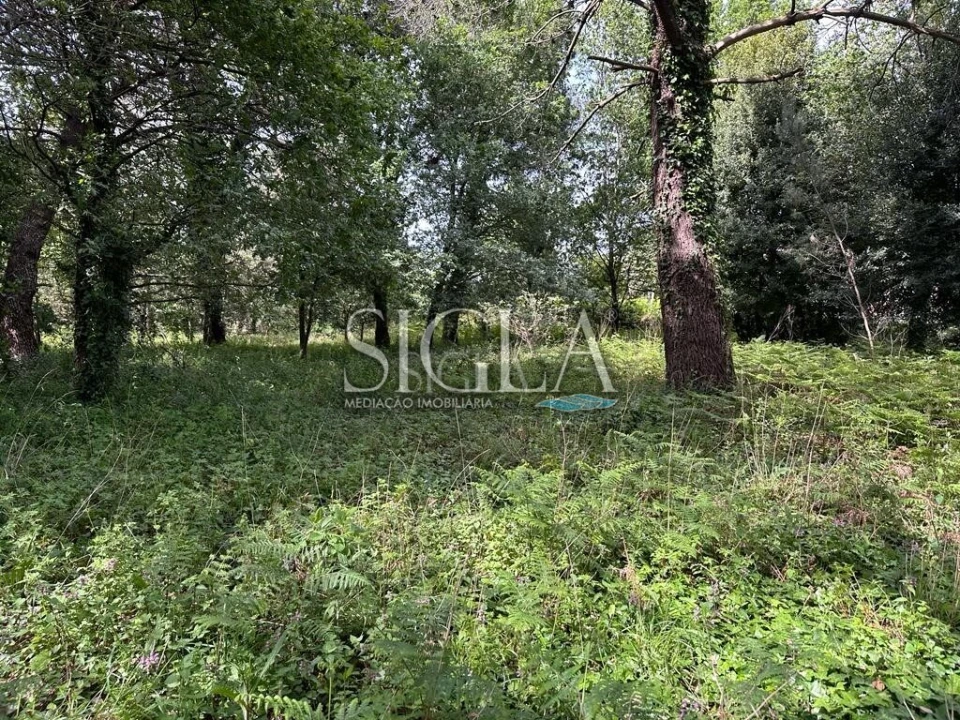 Terreno para Venda em O. Azeméis, Riba-Ul, Ul, Macinhata Seixa, Madail Foto 1