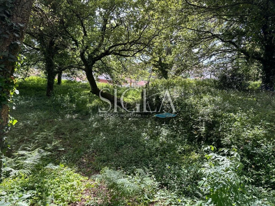 Terreno para Venda em O. Azeméis, Riba-Ul, Ul, Macinhata Seixa, Madail Foto 2
