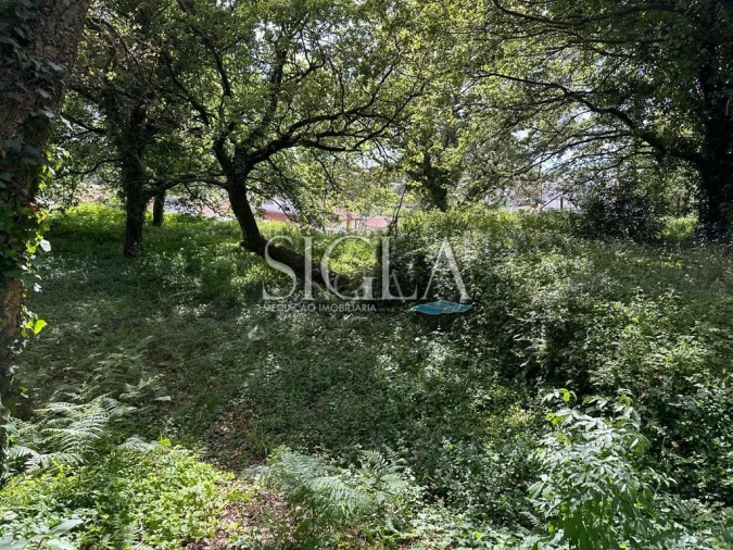Terreno para Venda em O. Azeméis, Riba-Ul, Ul, Macinhata Seixa, Madail Foto 2