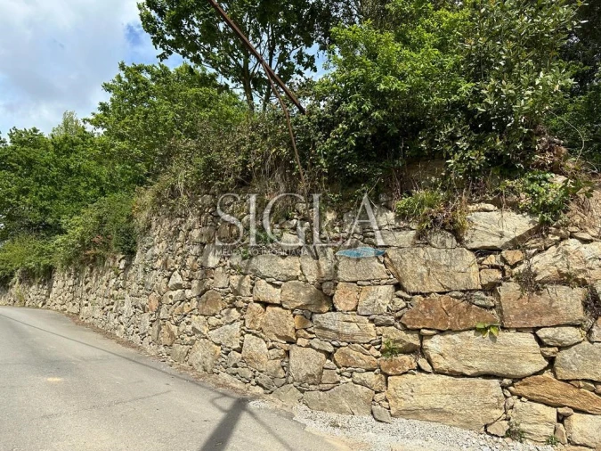 Terreno para Venda em O. Azeméis, Riba-Ul, Ul, Macinhata Seixa, Madail Foto 7