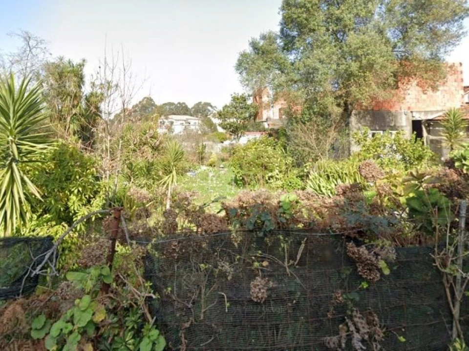 Terreno para Venda em Madalena Foto 1