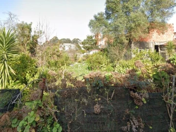 Terreno para Venda em Madalena