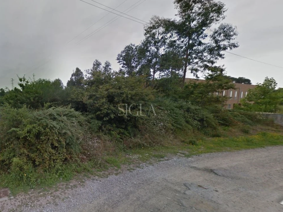 Terreno para Venda em Madalena Foto 1