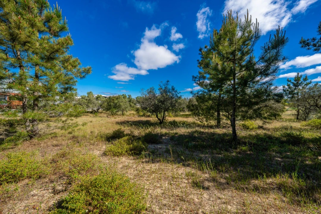 Terreno para Venda em Palmela Foto 8