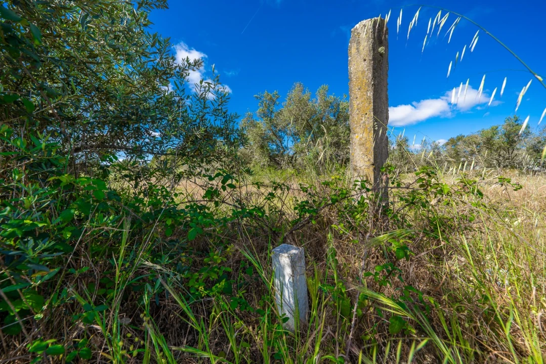 Terreno para Venda em Palmela Foto 9