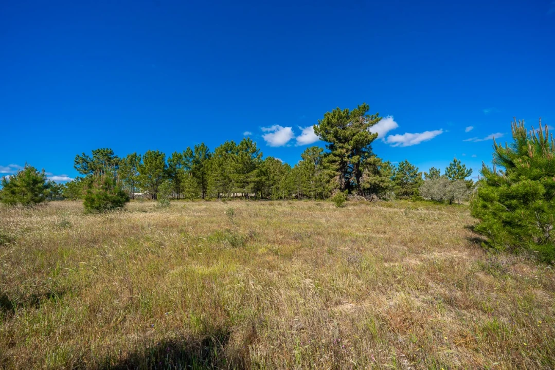 Terreno para Venda em Palmela Foto 12