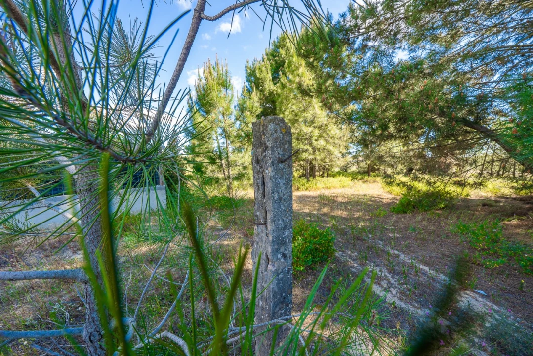 Terreno para Venda em Palmela Foto 14
