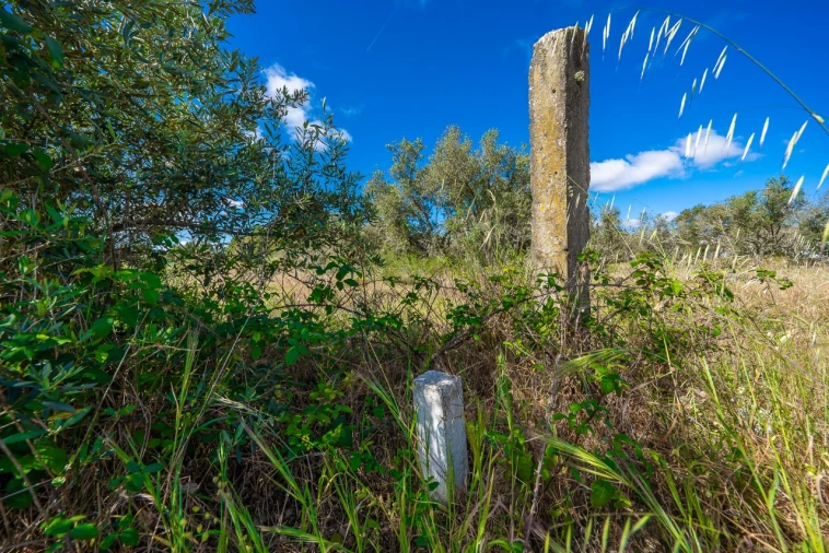 Terreno para Venda em Palmela Foto 9
