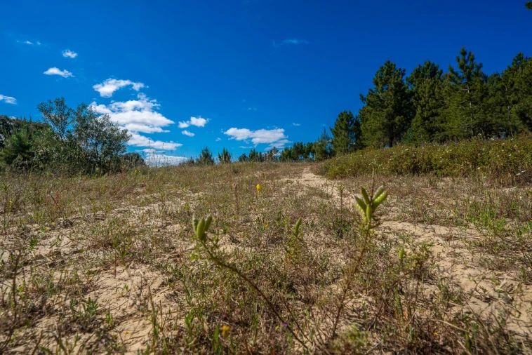 Terreno para Venda em Palmela Foto 11