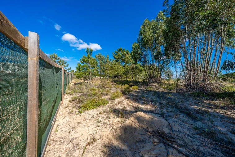 Terreno para Venda em Palmela Foto 13