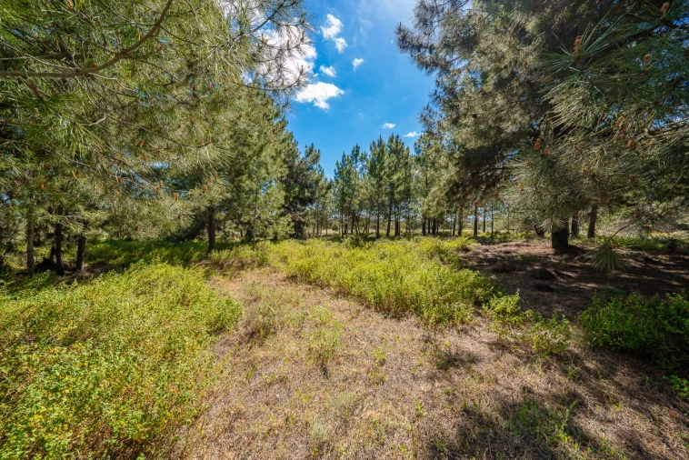 Terreno para Venda em Palmela Foto 15