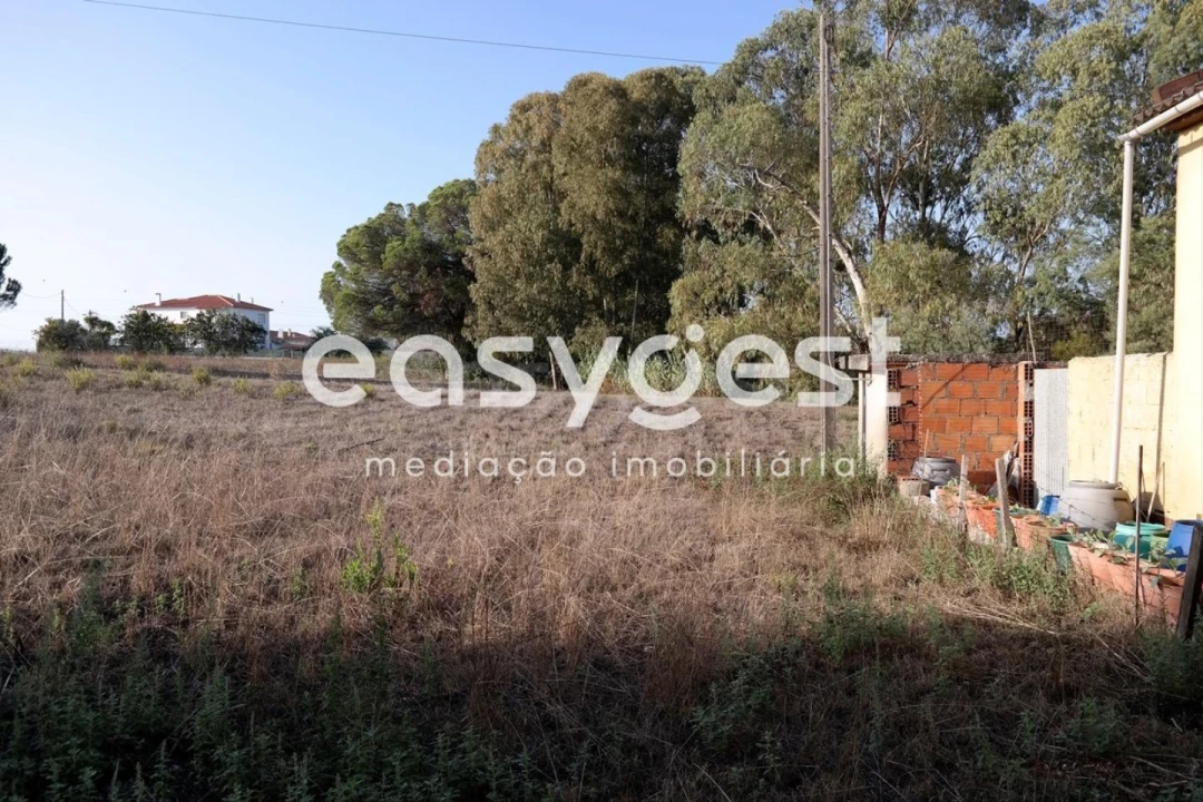 Terreno para Venda em Marrazes e Barosa Foto 7