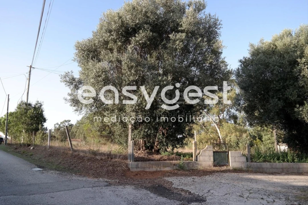 Terreno para Venda em Marrazes e Barosa Foto 14