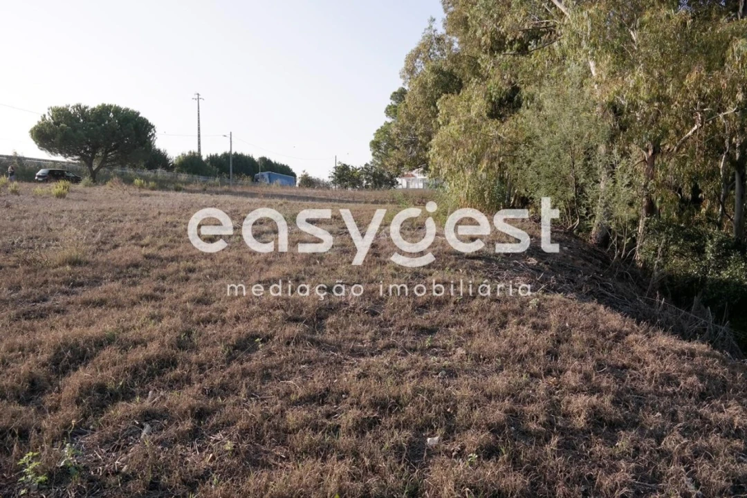 Terreno para Venda em Marrazes e Barosa Foto 3