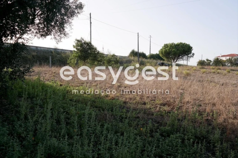Terreno para Venda em Marrazes e Barosa Foto 9