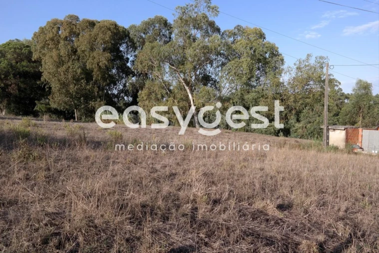 Terreno para Venda em Marrazes e Barosa Foto 11