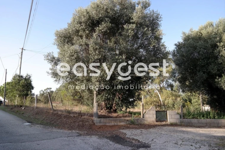 Terreno para Venda em Marrazes e Barosa Foto 14