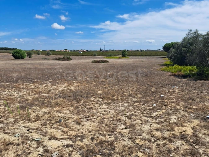 Terreno para Venda em Palmela Foto 2