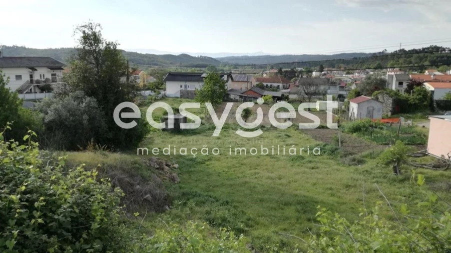 Terreno para Venda em Campo Foto 2