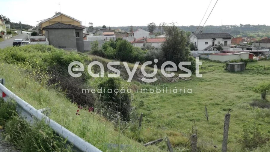 Terreno para Venda em Campo Foto 6