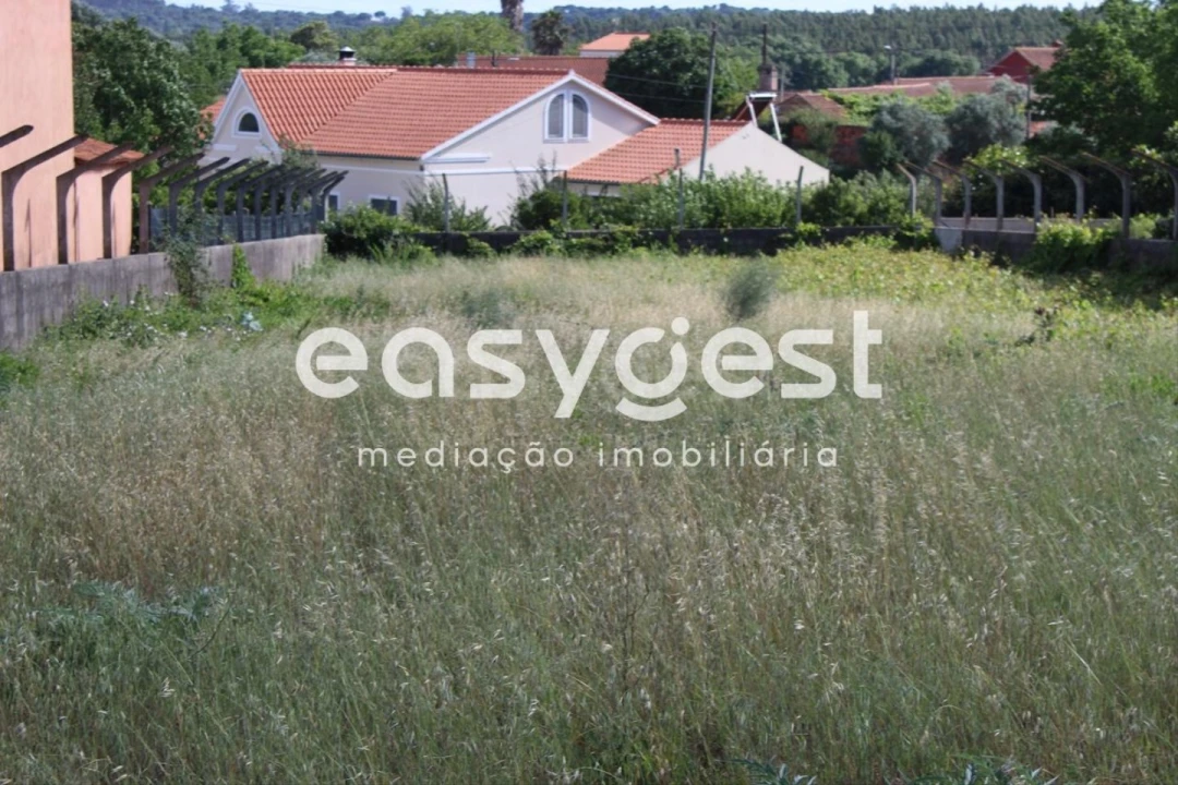 Terreno para Venda em São João Baptista e Santa Maria dos Olivais Foto 3