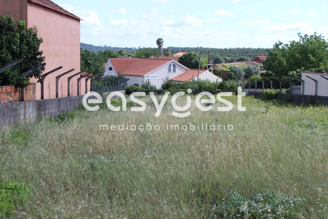 Terreno para Venda em São João Baptista e Santa Maria dos Olivais Foto 8