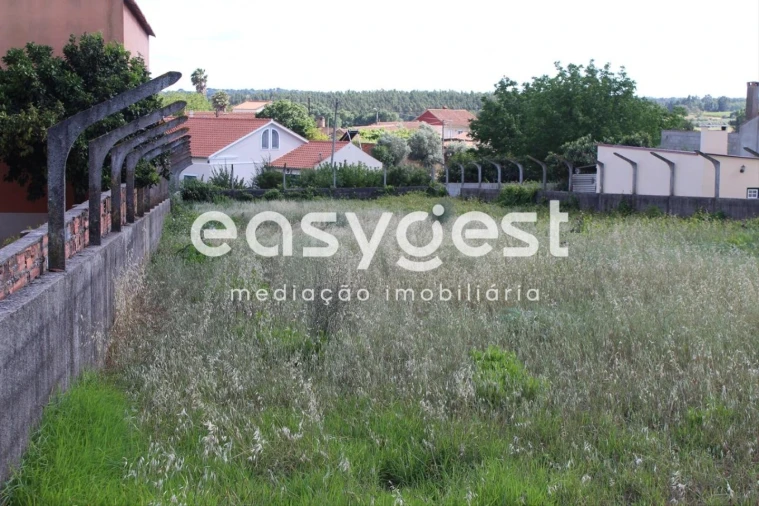 Terreno para Venda em São João Baptista e Santa Maria dos Olivais Foto 4