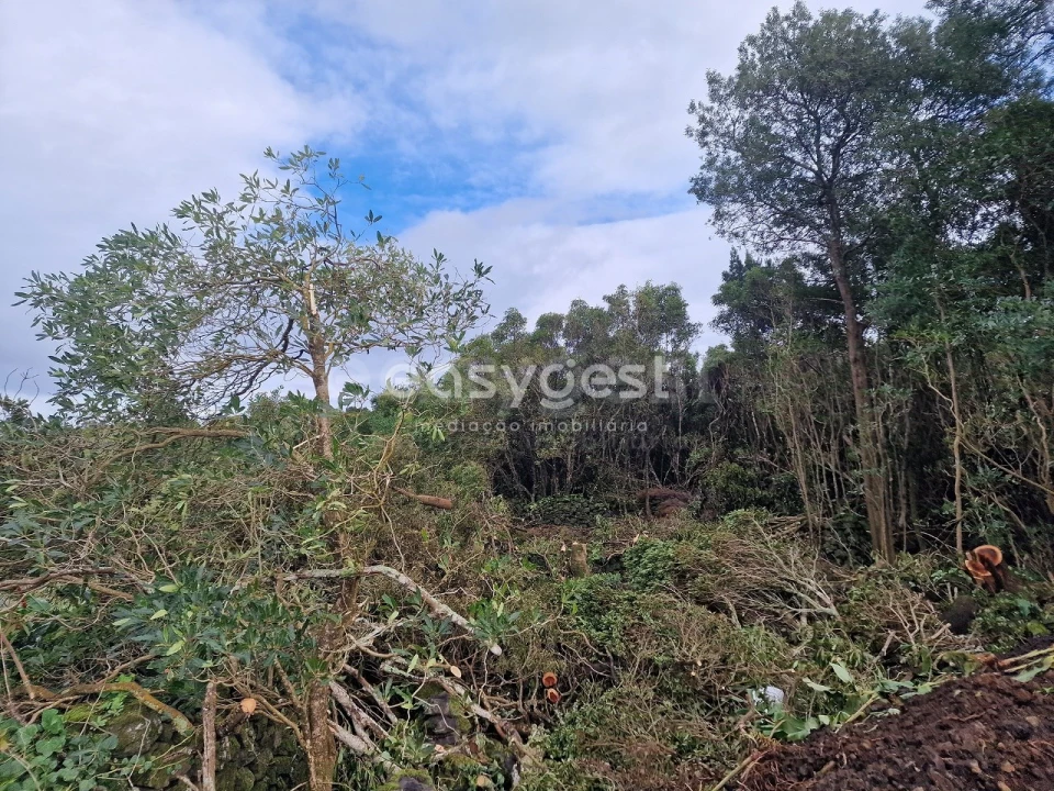 Terreno para Venda em Bandeiras Foto 3
